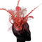 Vermelho Coral