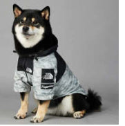 Impermeable para Perros Grandes Resistente al Viento y la Lluvia - Image 12