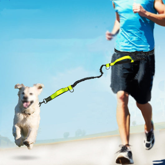Correa Extensible Reflectante Doble para Perros con Telescopio de Seguridad