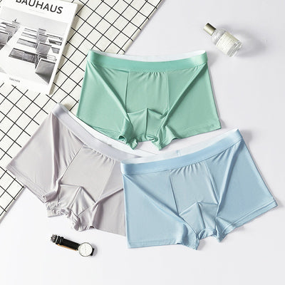 Ropa Interior de Seda de Hielo para Hombre Talla Grande Verano Sin Marcas