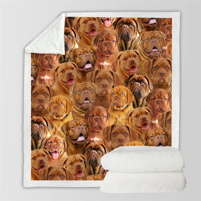 Manta Flanela Estampada para Perros de Moda - Image 59