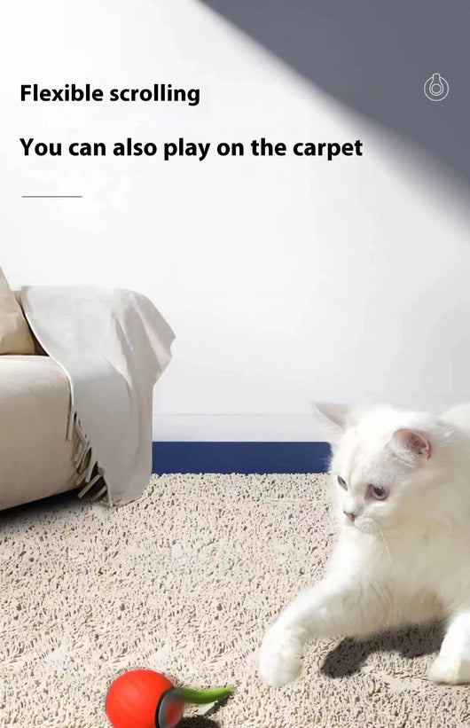 Juguete Interactivo Dispensador Automático de Alimento para Mascotas - Image 30