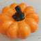 Pumpkin Shorts