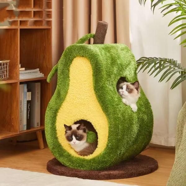 Cama Gatuna Aguacate Cerrada Cuatro Estaciones Universal