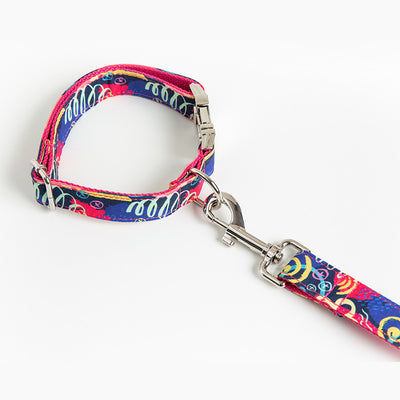 Collar y Correa para Mascotas con Diseño Graffiti - Image 12