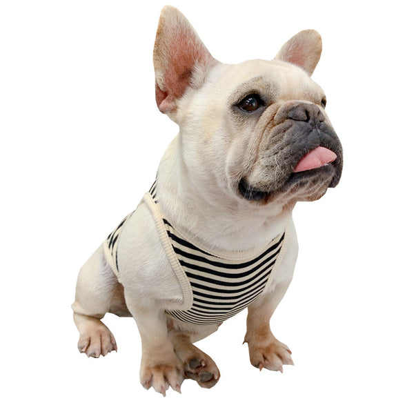 Ropa de Verano Personalizada para Perros - Diseño Fresco y Elegante