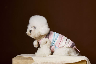 Chaleco Fair Isle para Mascotas Schnauzer Bichon Teddy - Image 16