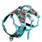 Pomegranate Color S