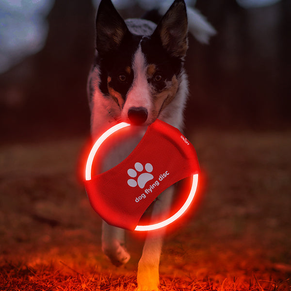 Disco Volador LED Luminoso para Perros - Juguete Interactivo Entretenimiento