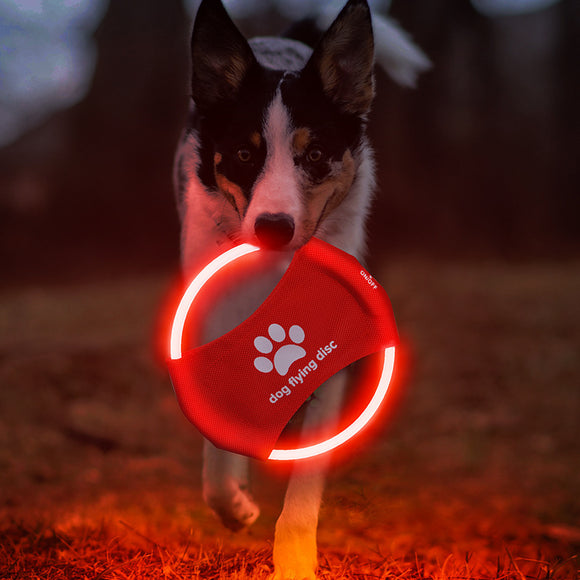 Luminous LED Flying Disc for Dogs - Interactive Entertainment Toy