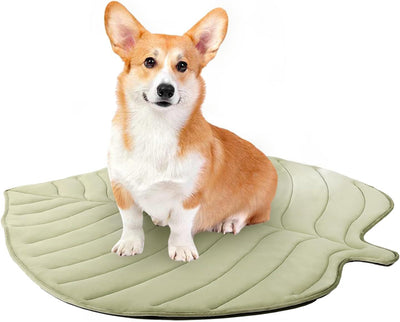 Tapete Refrescante para Gatos Diseño Hoja de Ginkgo - Image 6