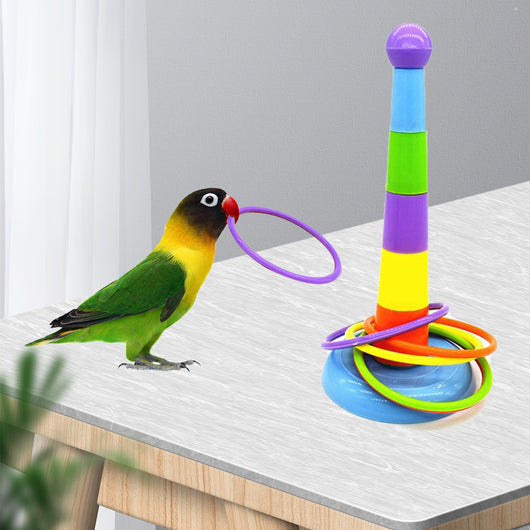 Colorful plastic bird ring toss toy with a stackable post and multiple rings, demonstrated by a lovebird. - Image 7
