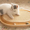 Juguete de Madera Maciza para Gatos Activos