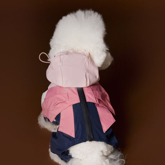 Ropa Deportiva para Perros Bichon Schnauzer con Arnés de Seguridad VIP