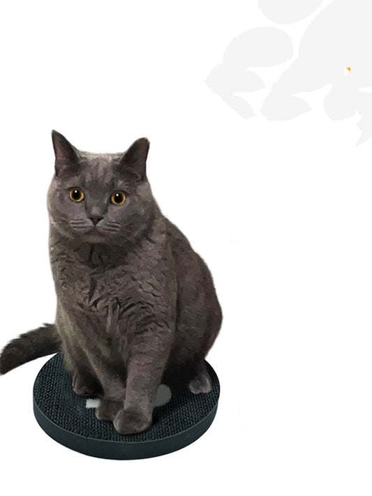 Rascador Circular para Gatos - Afilador de Garras