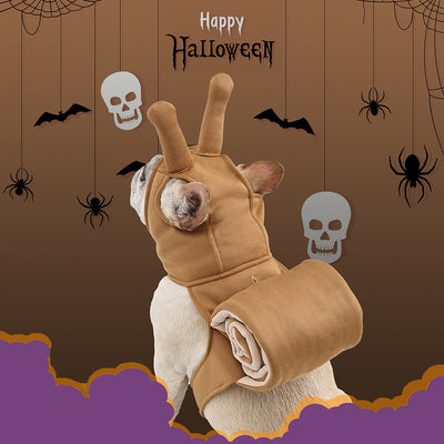Disfraz de Caracol para Mascotas - Accesorio Halloween Divertido