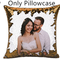 Gold Sequin Pillow Case Only Back