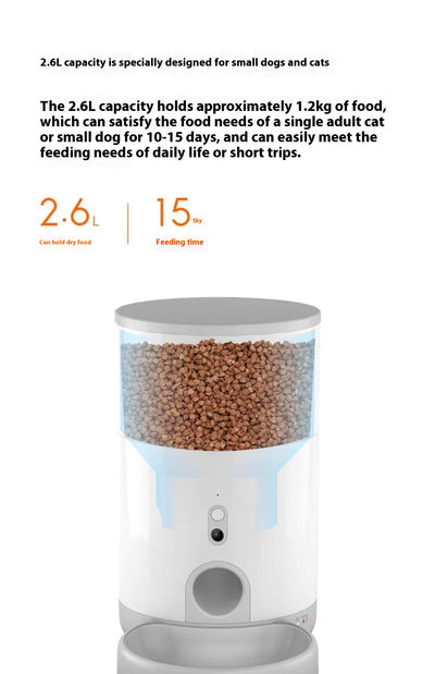 Comedero Automático Programable para Perros y Gatos - Image 8