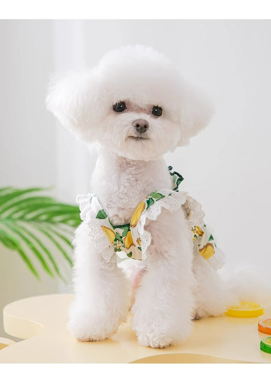 Falda Arnés Transpirable para Perros - Ropa Ligera y Cómoda - Image 8
