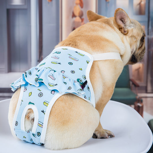 Pantalones Fisiológicos Ajustables para Perras con Diseño de Pug - Image 15
