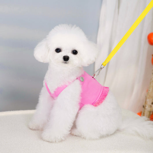 Arnés Personalizado de Moda para Mascotas - Image 10