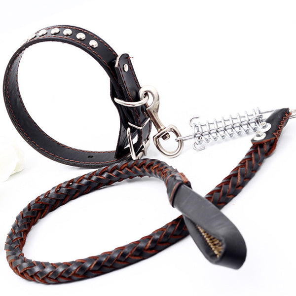 Collar de Tracción con Cadena de Cuero Antiexplosión - Image 7