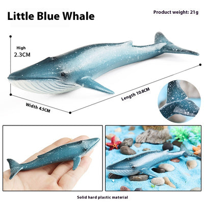 Juego Educativo de Animales Marinos Realistas para Niños - Image 80