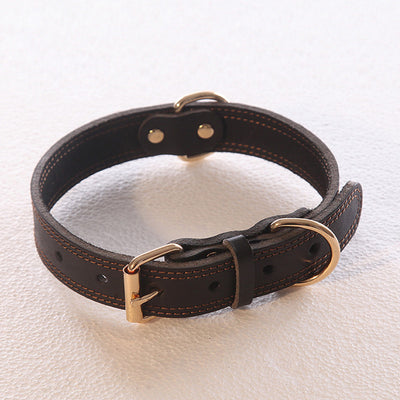 Collar de Cuero Genuino para Perros Medianos y Grandes - Golden Husky - Image 5