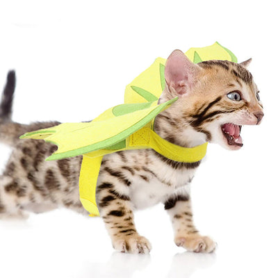 Alas de Dinosaurio para Mascotas - Disfraz Halloween - Image 12