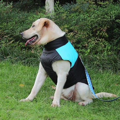 Abrigo Impermeable Acolchado para Perros - Chaleco Térmico con Cierre de Cremallera - Image 19