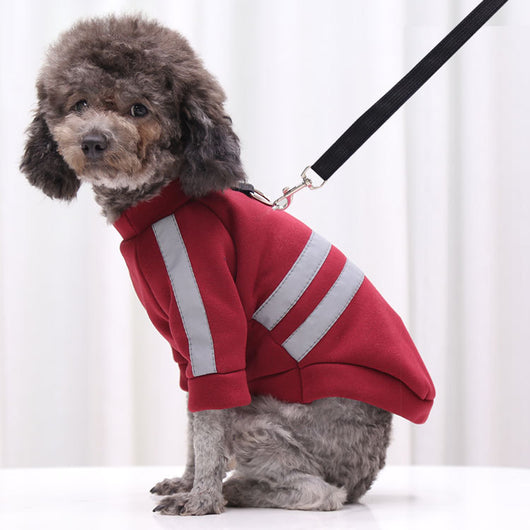 Suéter Reflectante para Paseos Nocturnos - Ropa para Perros y Gatos - Image 16