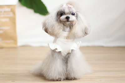 Vestido con Tirantes Estampado para Perros Pequeños - Image 2