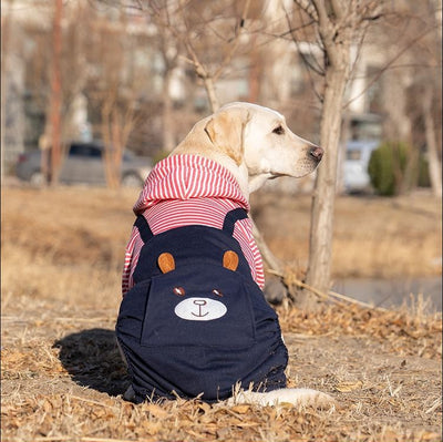 Ropa para Perros Grandes - Colección Año Completo Talla Mediana-Grande - Image 5
