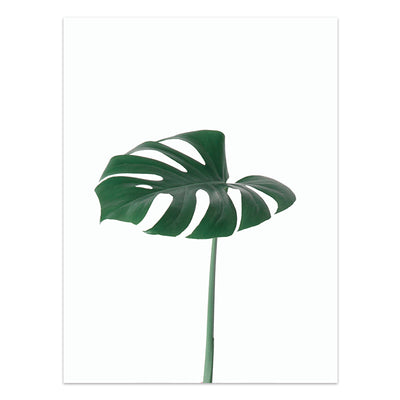 Póster de Plantas Tropicales Estilo Nórdico - Lámina de Hojas Verdes - Image 12