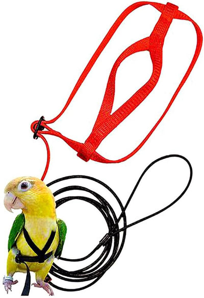 Red bird harness with a black leash shown on a yellow and green parrot. - Image 4
