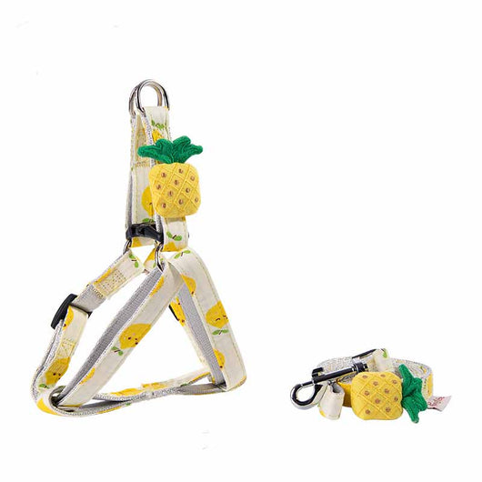 Collar y Correa para Perros con Estampado de Frutas - Colección Frutal - Image 13