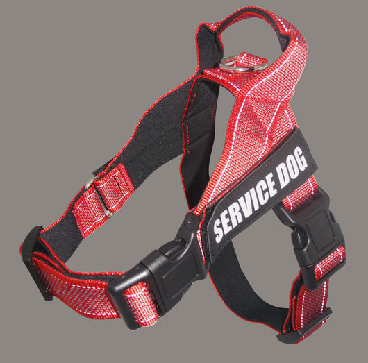 Arnés de Seguridad para Perros Grandes en Auto - Image 8