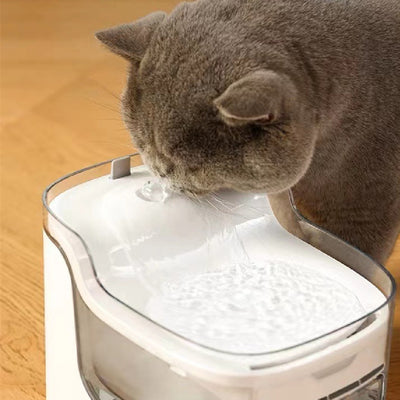 Bebedero Automático para Mascotas con Filtración Continua de Agua Fresca - Image 5