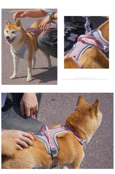 Arnés de Pecho Estilo Chaleco para Perros - Image 17