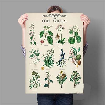Lámina Vintage de Jardín de Hierbas Aromáticas con Ilustraciones Botánicas Educativas - Image 9