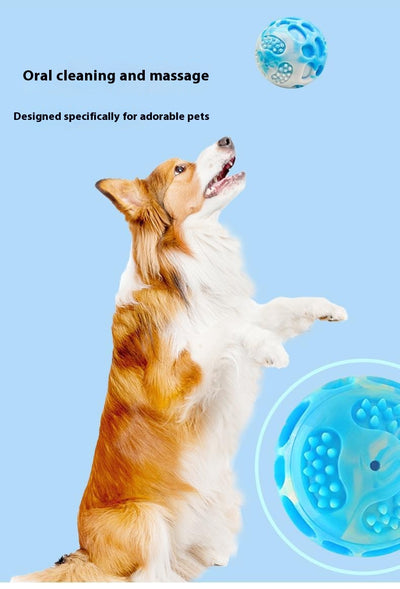 Blue and white marbled rubber dog toy ball with textured nubs and hollows, approximately 6cm in diameter. - Image 14