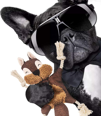 Juguete para Perro Zorro con Sonajero - Juguete Durable sin Relleno para Mascotas - Image 11