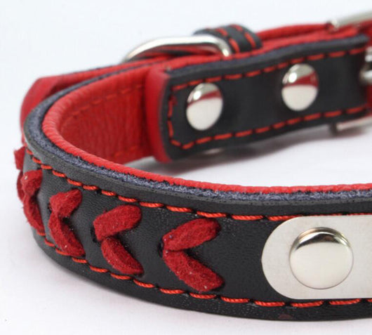Collar para Perro de Acero Inoxidable con Grabado Láser - Image 22