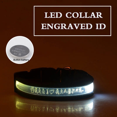 Collar Luminoso para Perros con Grabado Radium - Identificación Nocturna - Image 15