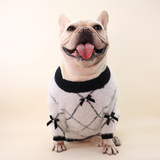 Ropa de Abrigo para Perros en Otoño e Invierno - Image 5
