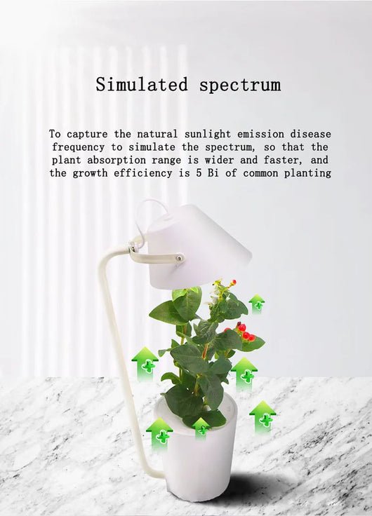 Sistema de Cultivo Hidropónico Automático - Image 7