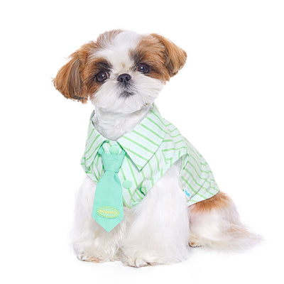 Playera de Algodón Fino para Perro Schnauzer Teddy - Image 9