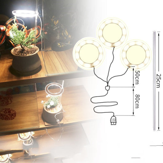 Lámpara LED de Espectro Completo para Plantas y Suculentas - Image 12
