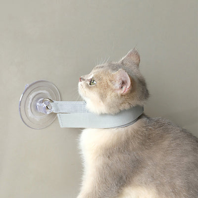 Light gray pet collar with a clear suction cup, designed to secure cats or puppies during bathing or grooming. - Image 3