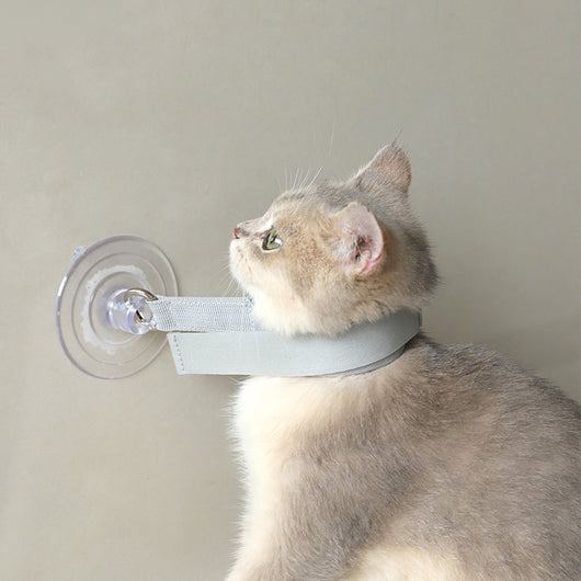 Light gray pet collar with a clear suction cup, designed to secure cats or puppies during bathing or grooming. - Image 3